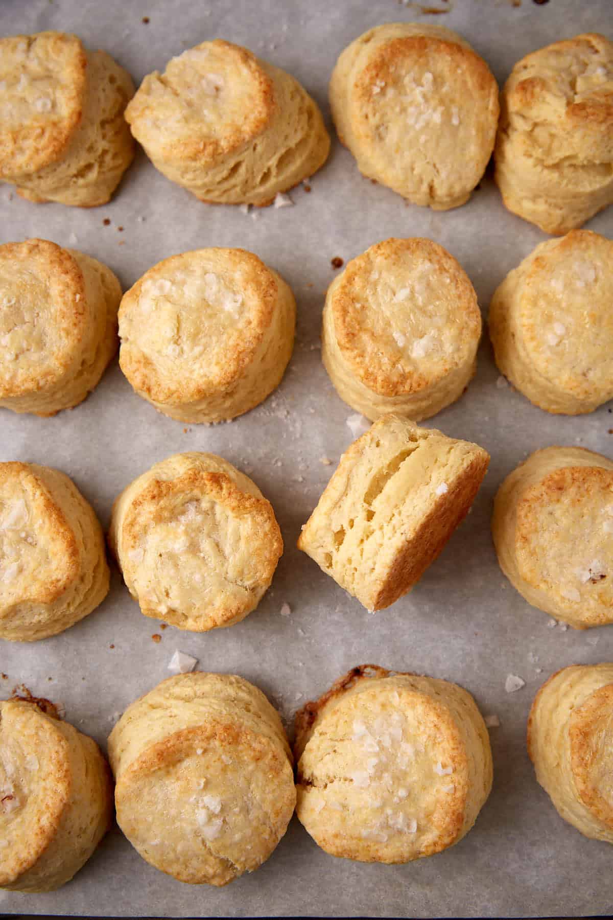 Buttermilk Biscuits