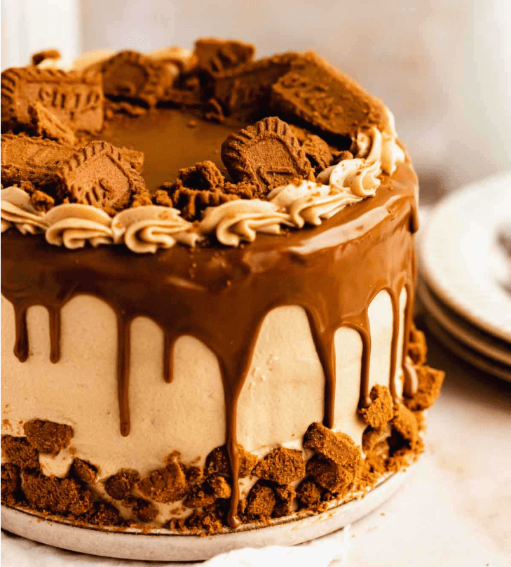 Tia's Chocolate Lotus Cake Image 1